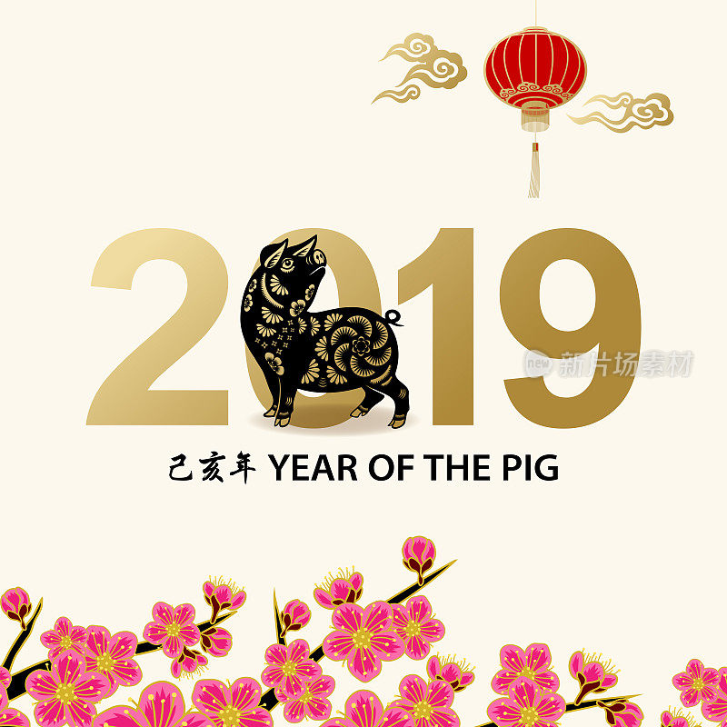 2019 Year of the Pig Greetings